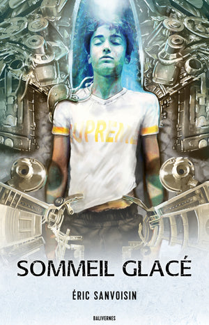 Sommeil glacé (ebook)